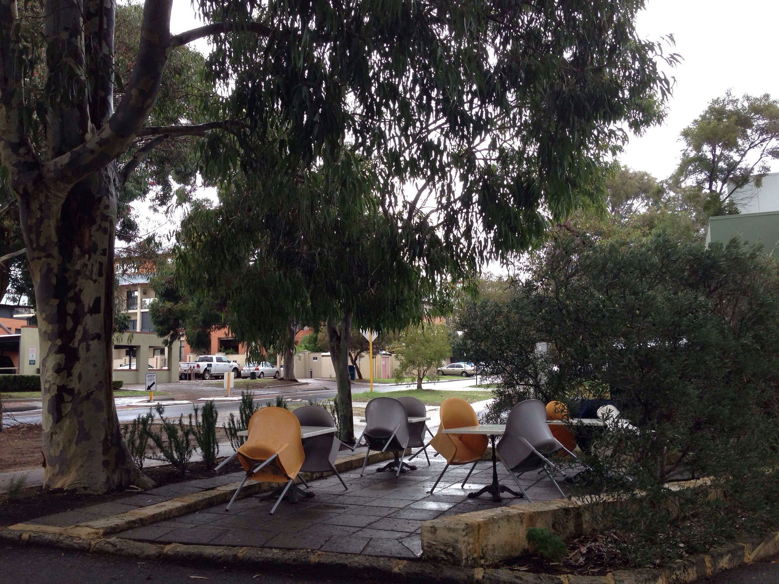 Jolimont WA Internet Find