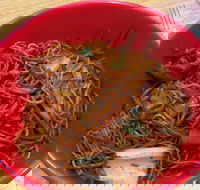 Noodle World - Internet Find