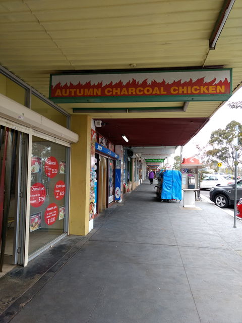 Autumn Charcoal Chicken - Internet Find 0