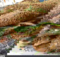 Bean Out - Internet Find