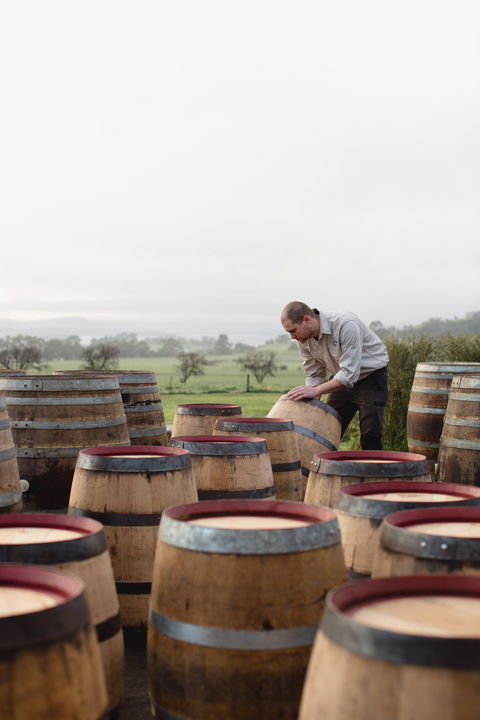 Lark Distillery - Internet Find 2