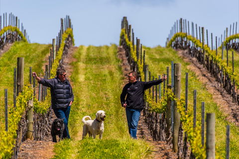 Tim Adams Wines - Internet Find 2