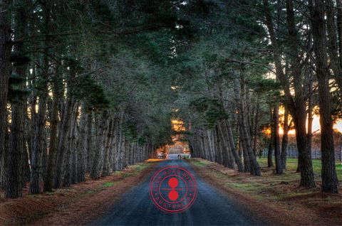 Eden Road Wines - Internet Find 1