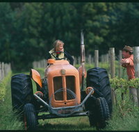 Oranje Tractor Wine - Internet Find