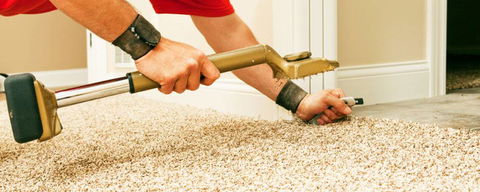Carpet One Forster - Internet Find 4