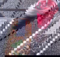 Little Shop of Plenty - Internet Find