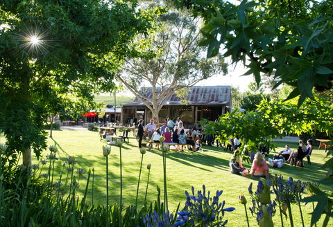 Barristers Block Premium Wines - Internet Find 0