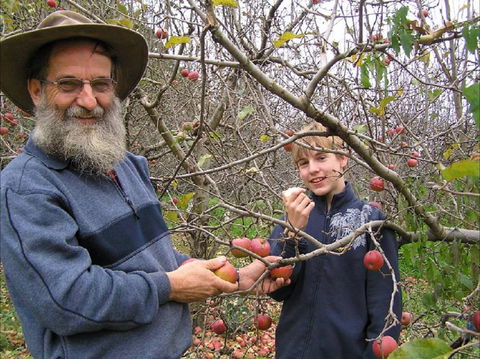 Pine Crest Orchard - Internet Find 0