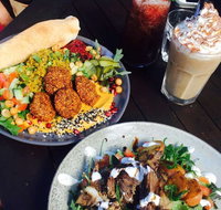 Rainforest Cafe Restaurant - Internet Find