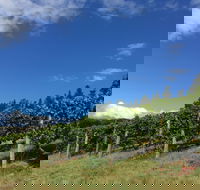 Freycinet Vineyard - Internet Find