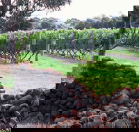Spring Vale Vineyard - Internet Find