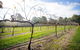 Long Point Vineyard And Art Gallery - thumb 0