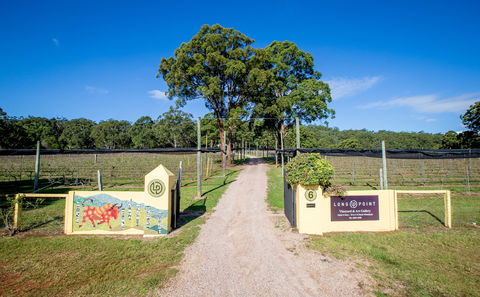 Long Point Vineyard And Art Gallery - Internet Find 1