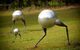 Long Point Vineyard And Art Gallery - thumb 2