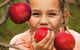 Suttons Juice Factory And Cidery - thumb 2