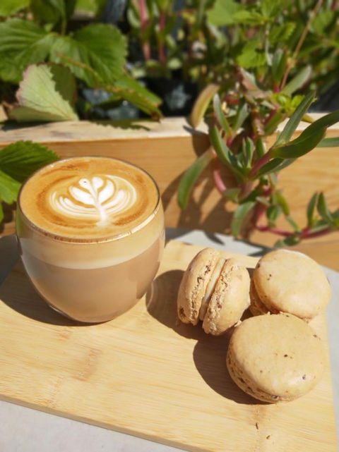 Pandesal Bakery - Internet Find 1