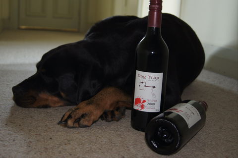 Dog Trap Vineyard - Internet Find 0
