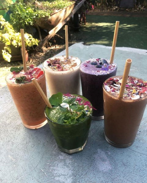 Garden Grub Cafe - Internet Find 0