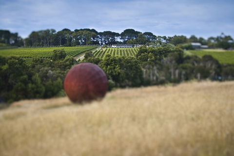 Montalto - Internet Find 2