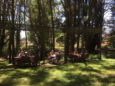The Field Of Dreams Cafe - Internet Find 2