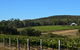Twisted River Wines - thumb 0