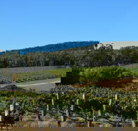 Twisted River Wines - Internet Find