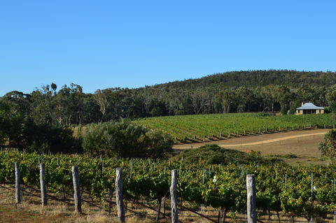 Twisted River Wines - Internet Find 0
