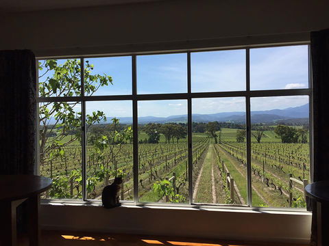 Yarra Yering - Internet Find 2