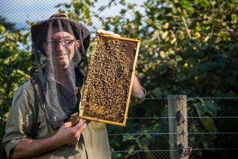 Pure Peninsula Honey - Internet Find 0