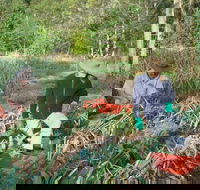 Sweet Water Farm - Internet Find