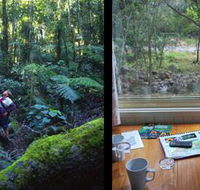 Mt Warning Rainforest Park - Internet Find