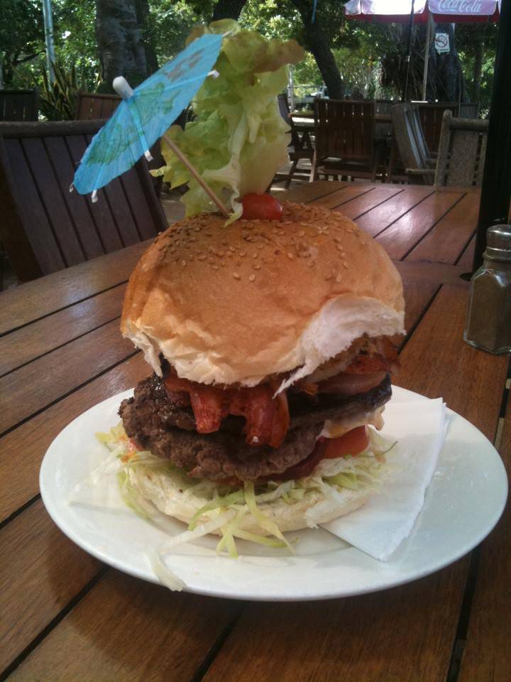 Holiday Apartments Resorts Dingo Beach QLD Internet Find