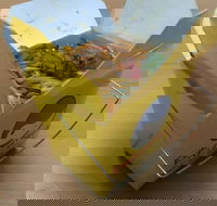 Express Wok - Internet Find