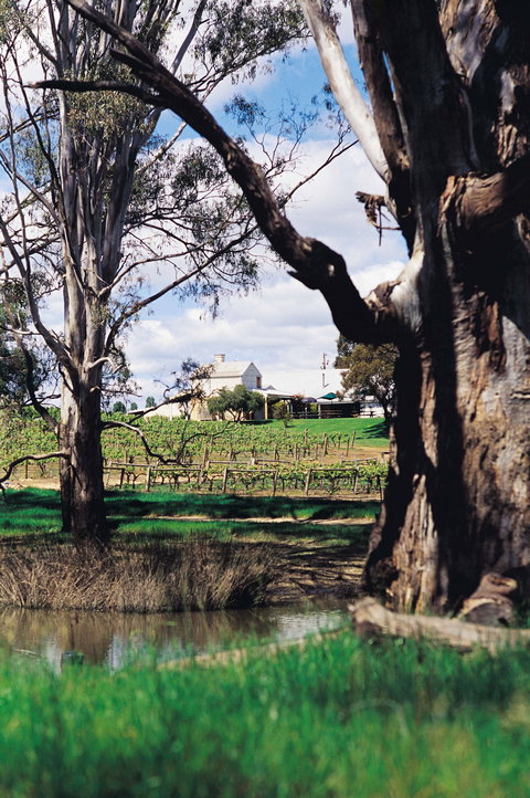 St Leonards Vineyard Café - Internet Find 1