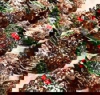 Stone Artisan Bakers - Greenslopes - Internet Find