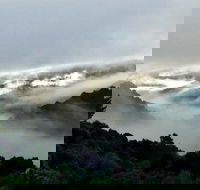 The Mushroom at Waratah - Internet Find