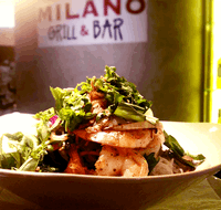 Milano Grill  Bar - Internet Find
