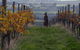 Barwon Ridge Wines - thumb 0