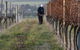 Barwon Ridge Wines - thumb 2