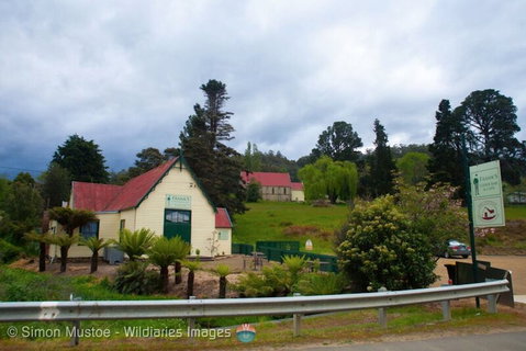 Frank's Cider House  And Cafe - Internet Find 0