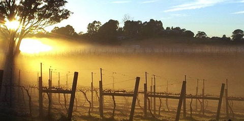 Nicholson River Winery And Barrel Room Restaurant - Internet Find 1