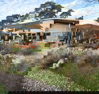Alpine Larder Cafe - Internet Find