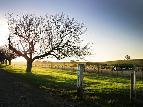 Clos Clare - Internet Find 2