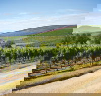 Jansz Tasmania - Internet Find
