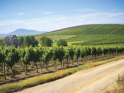Jansz Tasmania - Internet Find 0