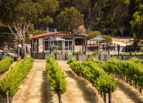 False Cape Wines Cellar Door - Internet Find 0