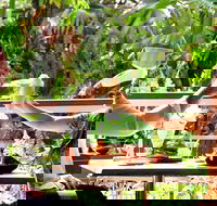 Jaques Coffee Plantation - Internet Find