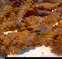 KFC - Forrestfield - Internet Find