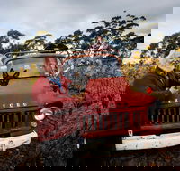 The Shiraz Republic - Internet Find