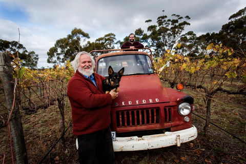 The Shiraz Republic - Internet Find 0